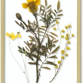 Floating Picture Frame 11x14 - Gold Aluminum Metal Photo Frame - Real Glass of Front - for Wall Mount Displays