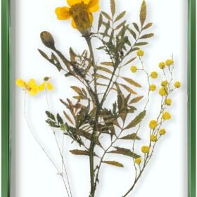 Floating Picture Frame 11x14 - Green Aluminum Metal Photo Frame - Real Glass of Front - for Wall Mount Display